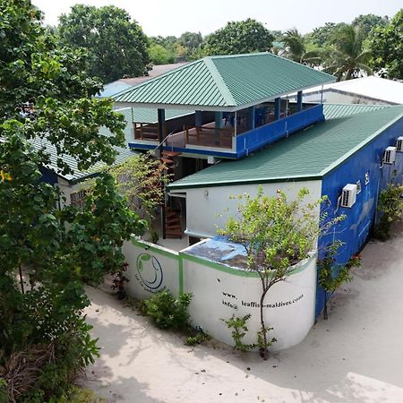 Leaf Fish Guesthouse Maldives Keyodhoo  외부 사진
