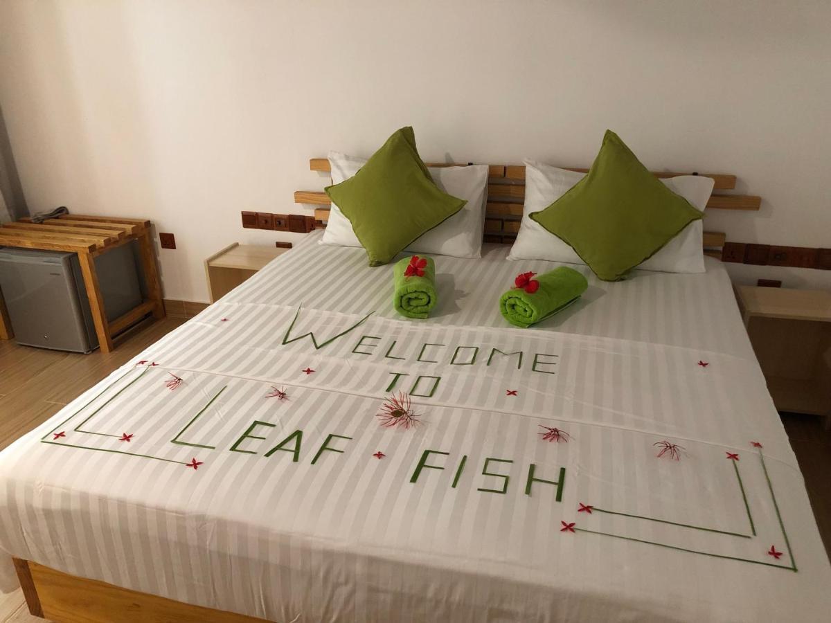 Leaf Fish Guesthouse Maldives Keyodhoo  외부 사진