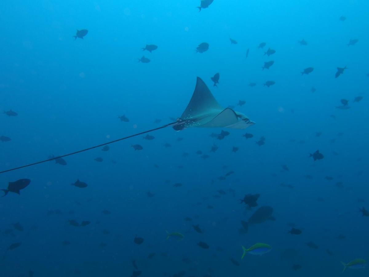 Leaf Fish Guesthouse Maldives Keyodhoo  외부 사진