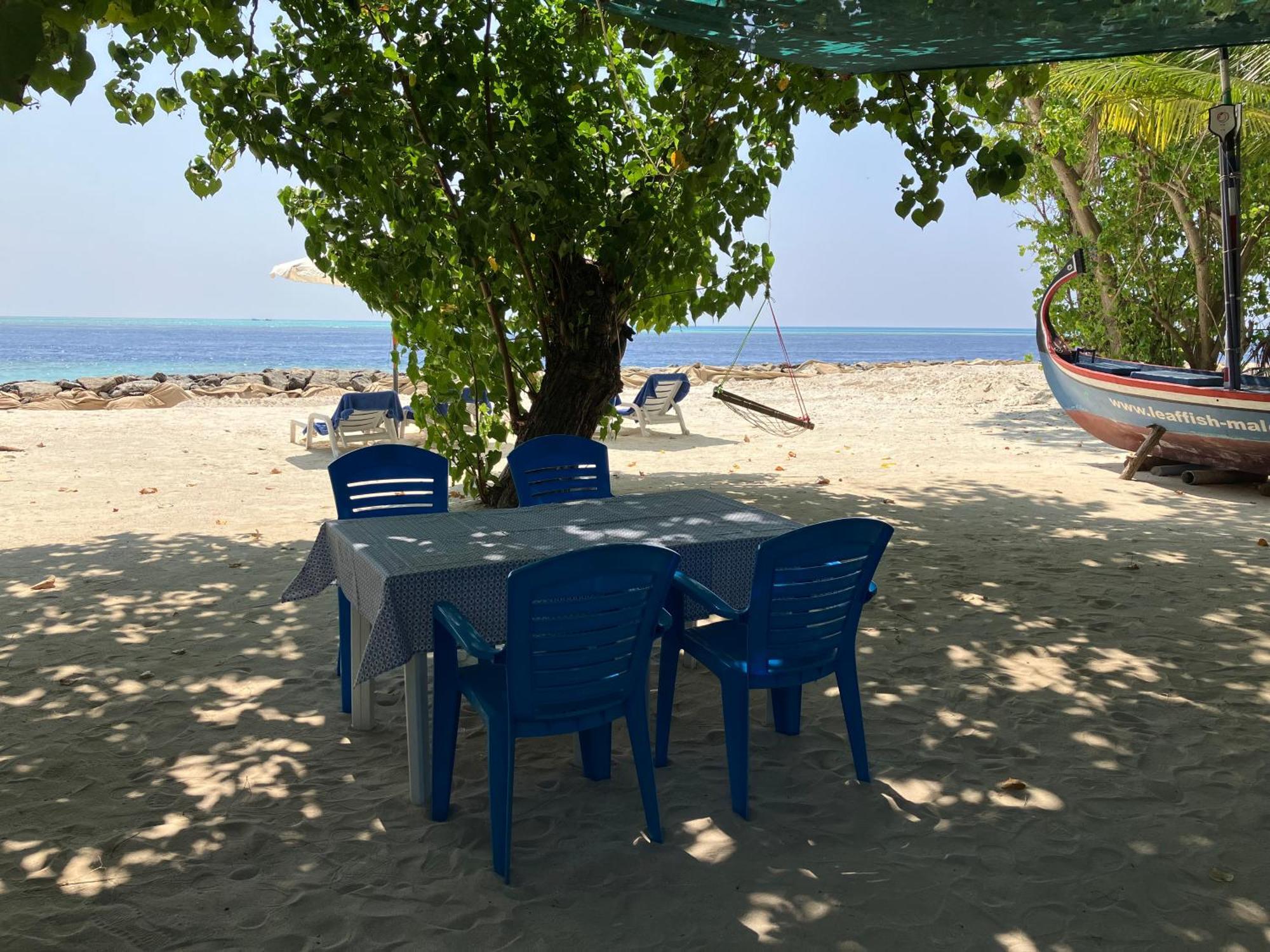 Leaf Fish Guesthouse Maldives Keyodhoo  외부 사진